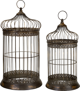 Cage bird PNG-41389